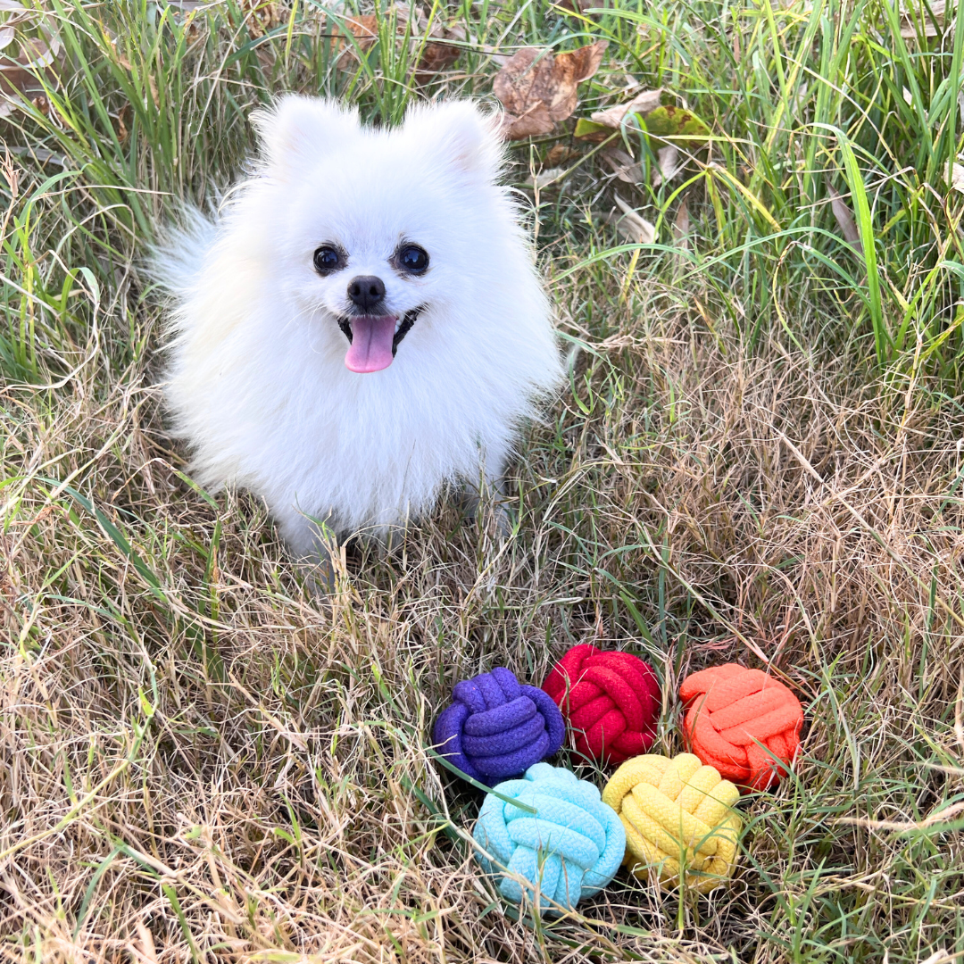 Petite Pup Rainbow Rope Ball Set - Image 3
